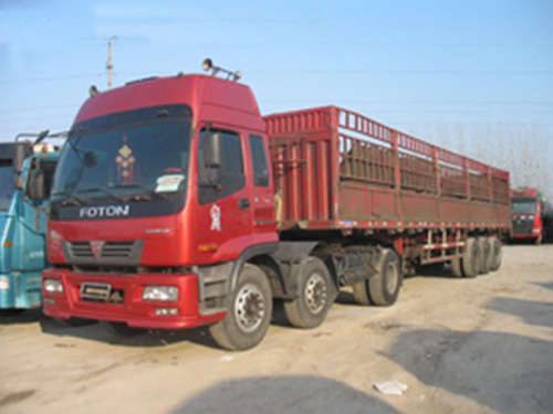 ��ɳǨ�����